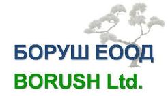 www.borush.consulting